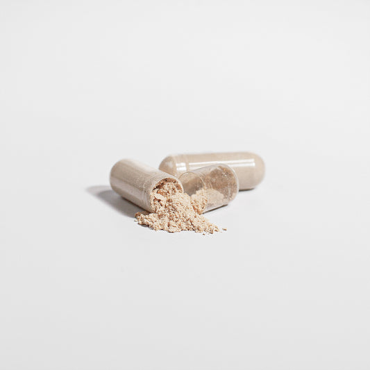 Open Capsule Showing Powder Cordyceps Mushroom Powder Inside Capsule – Herbal Adaptogen Extract